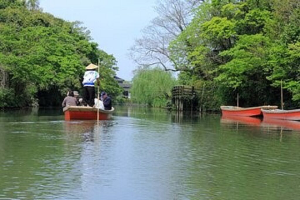 A boat with passengers navigates a serene river surrounded by vibrant green trees and calm waters.